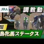 【調教動画】2025年 福島牝馬ステークス|JRA公式