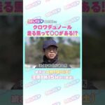 皐月賞GⅠ トレセン直撃取材!② #競馬 #皐月賞 #クロワデュノール #北村友一