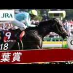 2018年 青葉賞(GⅡ) | ゴーフォザサミット | JRA公式