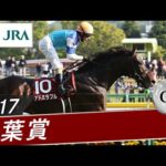 2017年 青葉賞(GⅡ) | アドミラブル | JRA公式