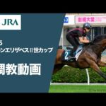 【調教動画(馬番順)】2025年 クイーンエリザベスⅡ世カップ(G1) | JRA公式