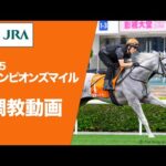 【調教動画(馬番順)】2025年 チャンピオンズマイル(G1) | JRA公式