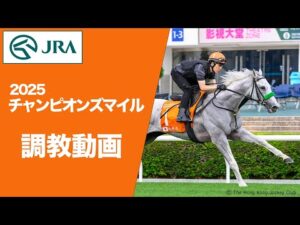 【調教動画（馬番順）】2025年 チャンピオンズマイル（G1） | JRA公式