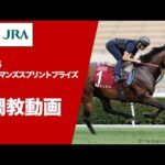 【調教動画(馬番順)】2025年 チェアマンズスプリントプライズ(G1) | JRA公式