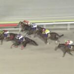 【東京スプリント2025】結果・動画/エートラックスが押し切る