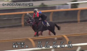 【天皇賞･春】1週前追い切りハヤテノフクノスケ爆走ラスト10秒9！
