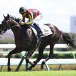 【競馬予想】第57回ダービー卿チャレンジトロフィー(GⅢ) /2025
