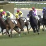 【競馬】アドミラブル 3歳未勝利 阪神芝1800を1.45.8で走破【ディープ】