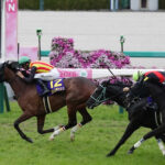 今年の4歳牝馬、なんか弱くね?