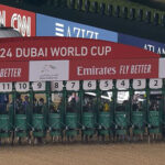 【競馬予想】[2]第29回ドバイワールドカップ/ 2025