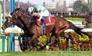 【大阪杯】国枝厩舎4歳馬シックスペンス&ステレンボッシュwwww