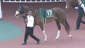 横山典さんスウィープフィートを制御できず