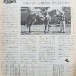 ウマ娘シンデレラグレイ今週日曜日に放送されるけど競馬版民は見るの?