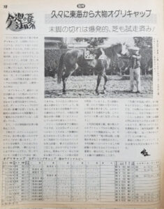 ウマ娘シンデレラグレイ今週日曜日に放送されるけど競馬版民は見るの？