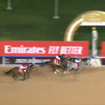 【ドバイWC】フォーエバーヤングとは何だったのか