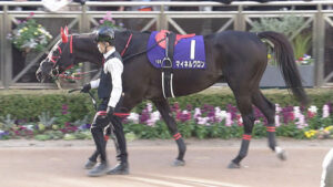 マイネルグロンとハギノアレグリアス、熱中症だった