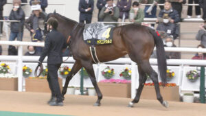 【アンタレスS】ヤマニンウルス弱すぎワロタw w w w w