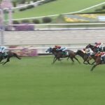 【競馬】福島牝馬Sは田辺騎乗のアドマイヤマツリがV