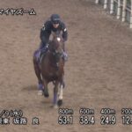 【ニュージーランドトロフィー2025】追い切り/動きからレースを紐解く