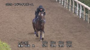 【ニュージーランドトロフィー2025】追い切り/動きからレースを紐解く