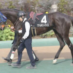 【競馬予想】第60回フローラステークス(GⅡ) /2025