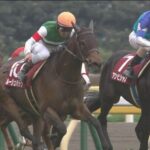 【競馬/金鯱賞】ルージュバック3人気【過剰人気?】