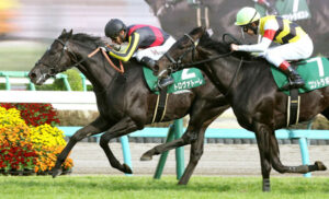 【ダービー卿CT】トロヴァトーレが内から抜けV！連勝で重賞初制覇