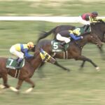 【競馬】ブラックスピネルとエアスピネル