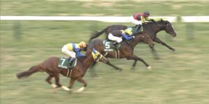 【競馬】ブラックスピネルとエアスピネル