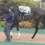 【競馬予想】[1]第32回青葉賞(GⅡ) /2025