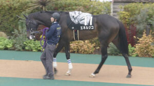 【競馬予想】[1]第32回青葉賞(GⅡ) /2025