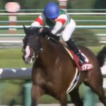 【競馬】虚弱馬リアファル、金鯱賞回避!