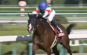 【競馬】虚弱馬リアファル、金鯱賞回避！