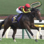 3冠牝馬リバティアイランドが予後不良で安楽死処置