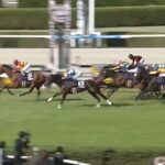 【競馬】大阪杯は横山和騎乗のべラジオオペラがレコードで連覇達成