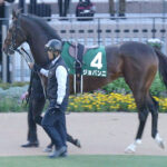 【競馬予想】[3]第85回皐月賞(GⅠ) /2025