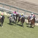 【競馬/金鯱賞】7着プロディガルサン田辺「よく分かりません」