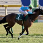 【競馬予想】[4]第85回桜花賞(GⅠ) /2025