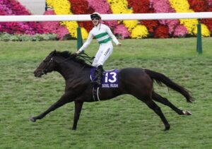 【ドバイターフ】団野大成、ソウルラッシュ降ろされる