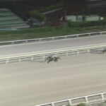 【羽田盃2025】結果・動画/ナチュラルライズが5馬身差圧勝