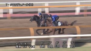 【皐月賞2025】追い切り/調教を見てわかる事
