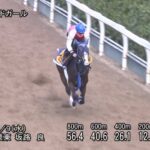 【阪神牝馬ステークス2025】追い切り/調教を見てわかる事