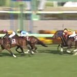 【競馬】ニュージーランドTは石川騎乗のイミグラントソングがV アドマイヤズーム2着