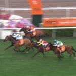 【チャンピオンズマイル2025】結果・動画/レッドライオンが接戦を制す