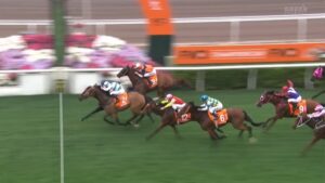 【チャンピオンズマイル2025】結果・動画/レッドライオンが接戦を制す