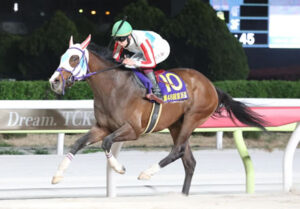 【競馬予想】第70回 羽田盃(Jpn1/大井) /2025