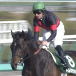 【競馬】ペルシアンナイト皐月賞直行