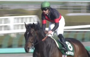 【競馬】ペルシアンナイト皐月賞直行