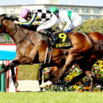 【競馬予想】[1]第85回皐月賞(GⅠ) /2025