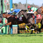 【競馬予想】[2]第85回皐月賞(GⅠ) /2025